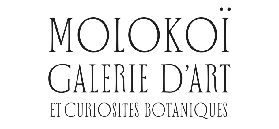 Molokoï