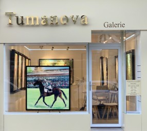 Tumanova Galerie