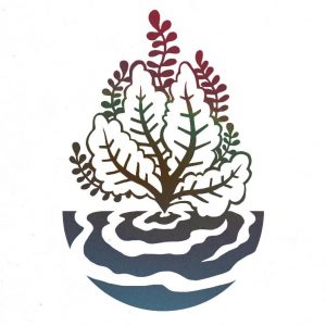 L'atelier Du Bain Aux Plantes