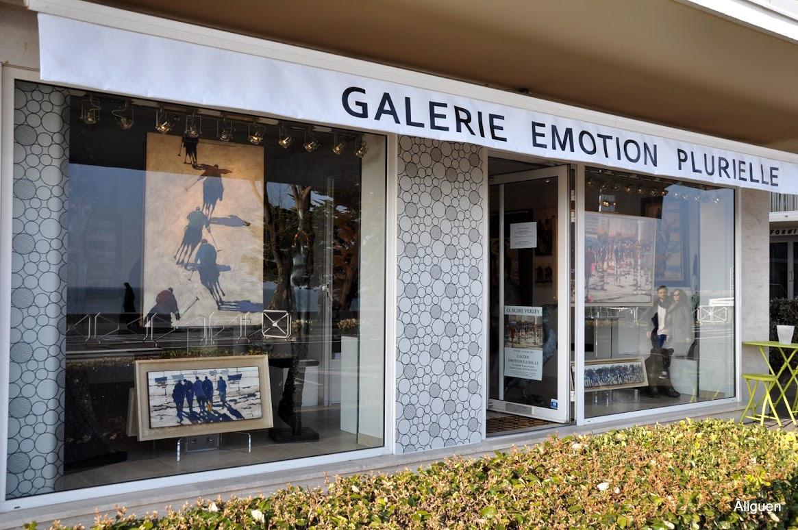 Galerie Emotion Plurielle