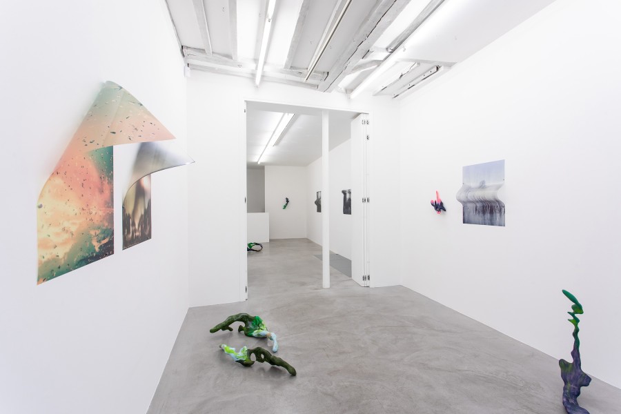 Galerie Alberta Pane