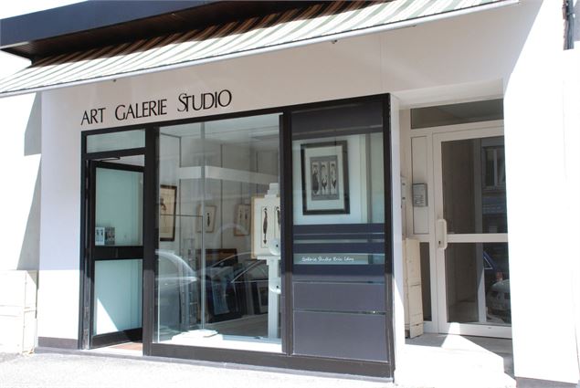 Art Galerie Studio