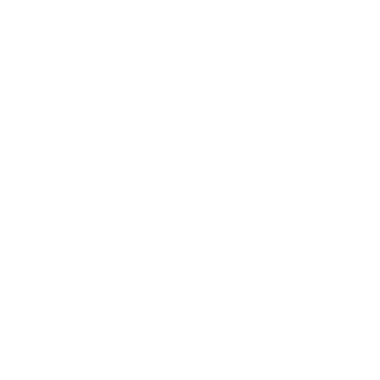 Galerie des Carmes