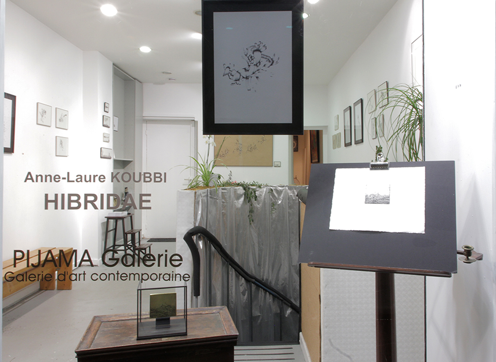 Pijama Galerie