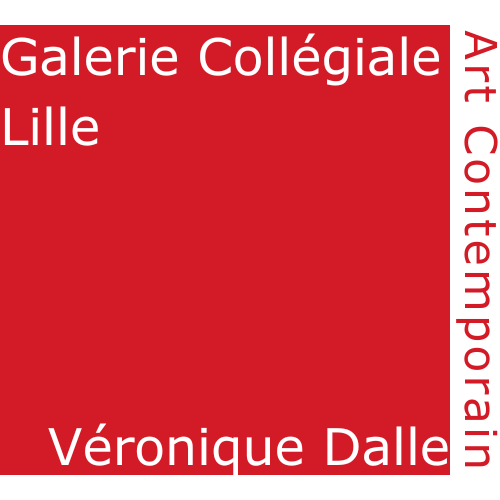 Galerie Collégiale-Lille