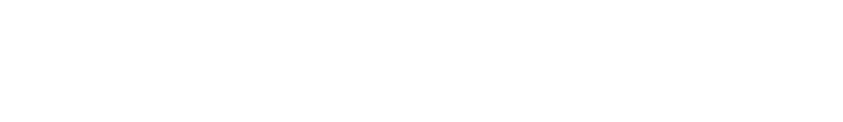 Pitout Foundation