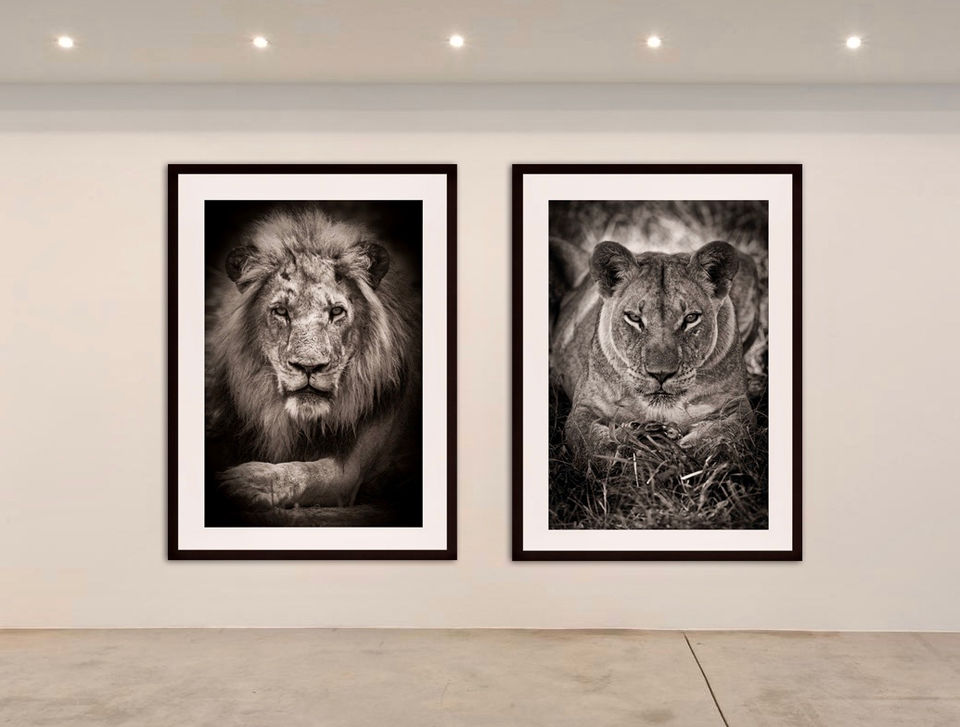 Orion Art Gallery