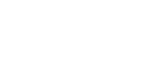 Artvista