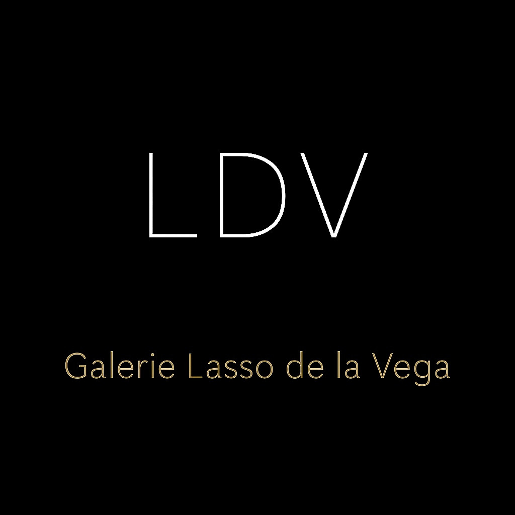Galerie Lasso de la Vega