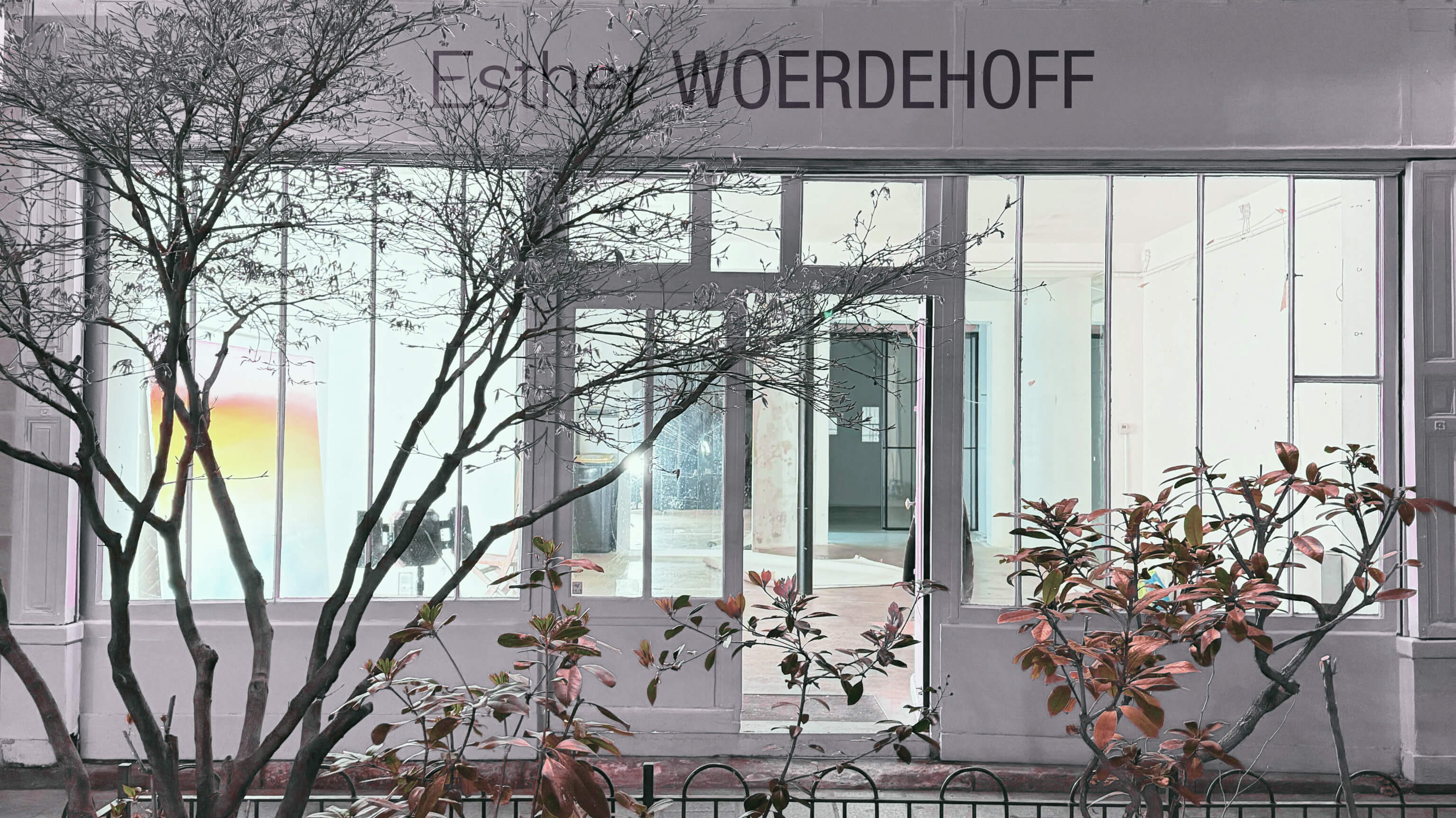 Galerie Esther Woerdehoff