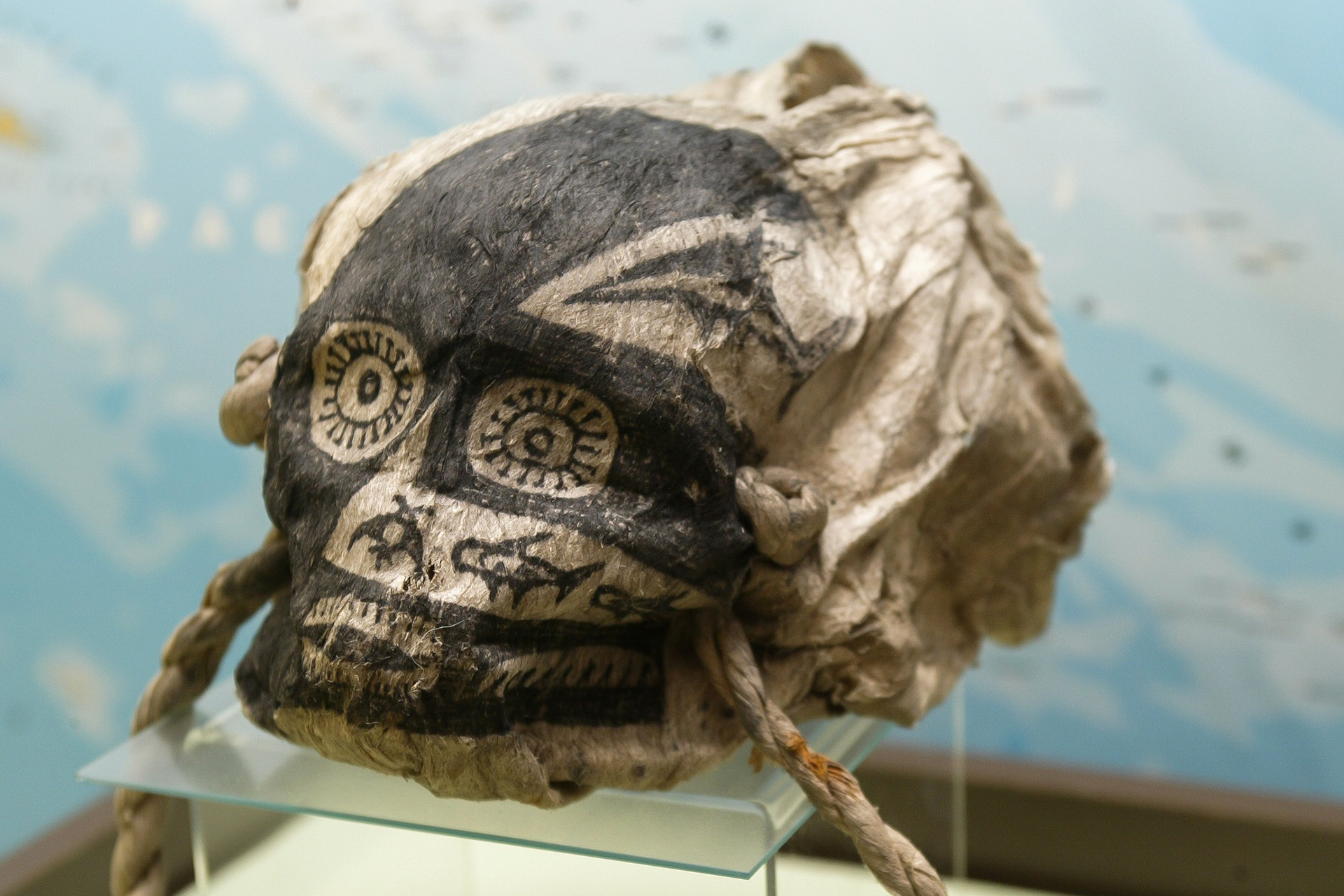 Musée d'Histoire Naturelle et d'Ethnographie de Colmar