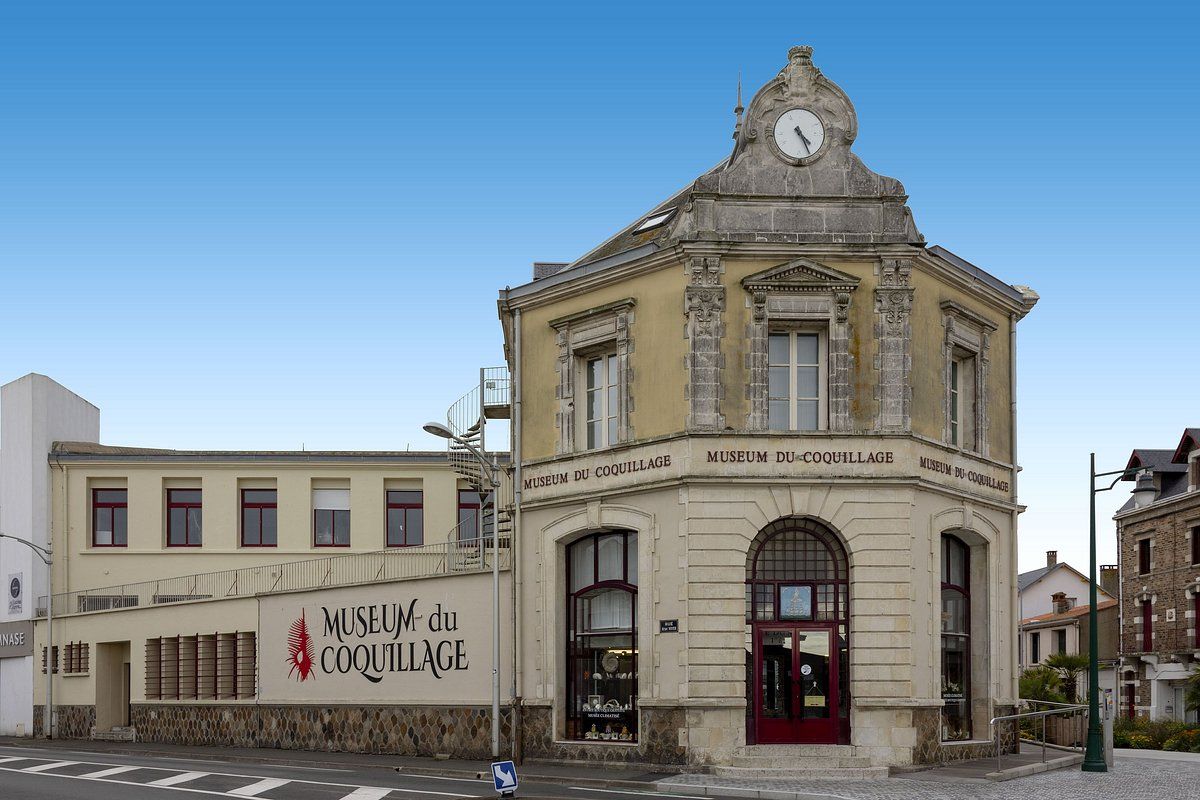 Muséum du Coquillage