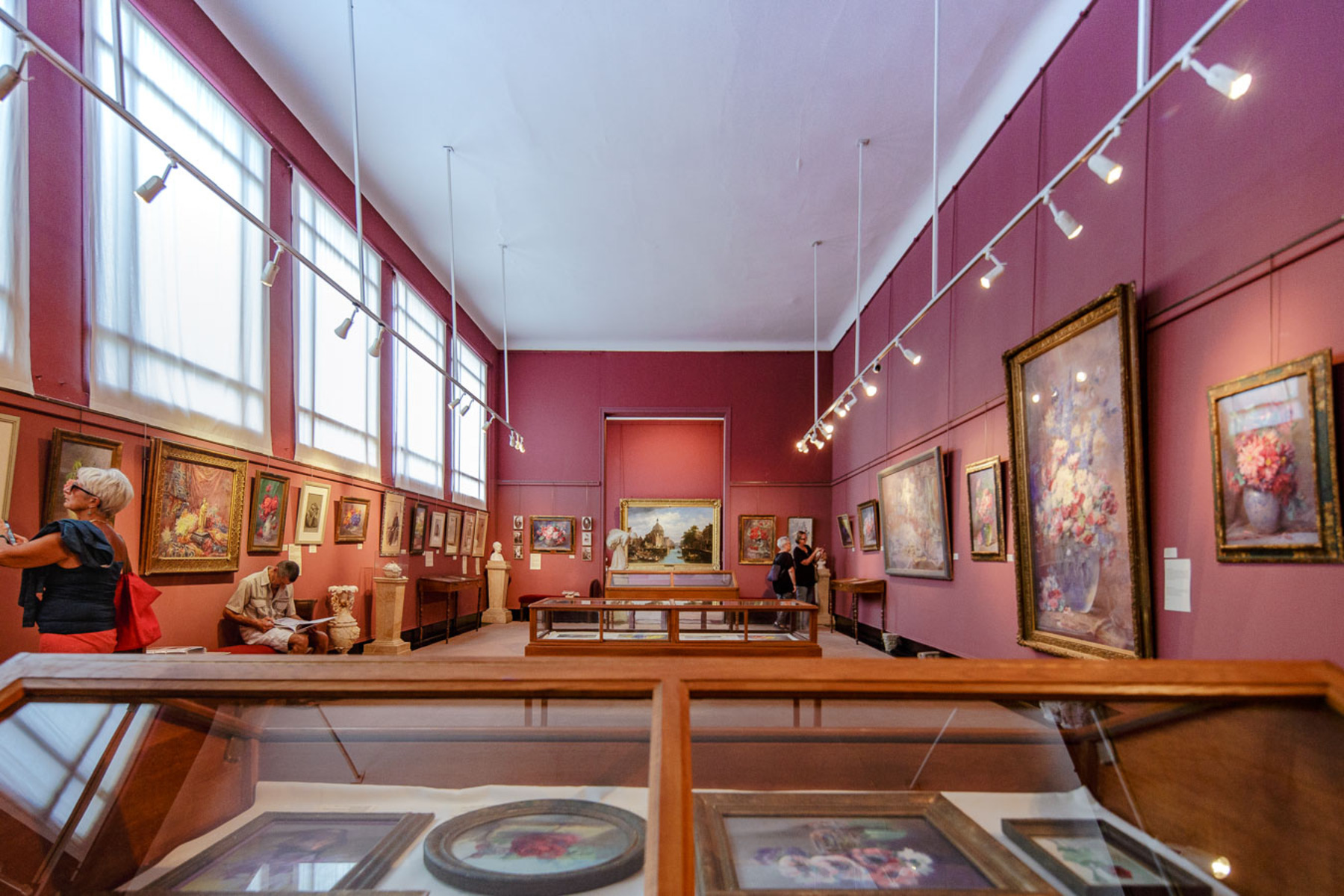 Muséum Histoire Naturelle Bagnères de Bigorre