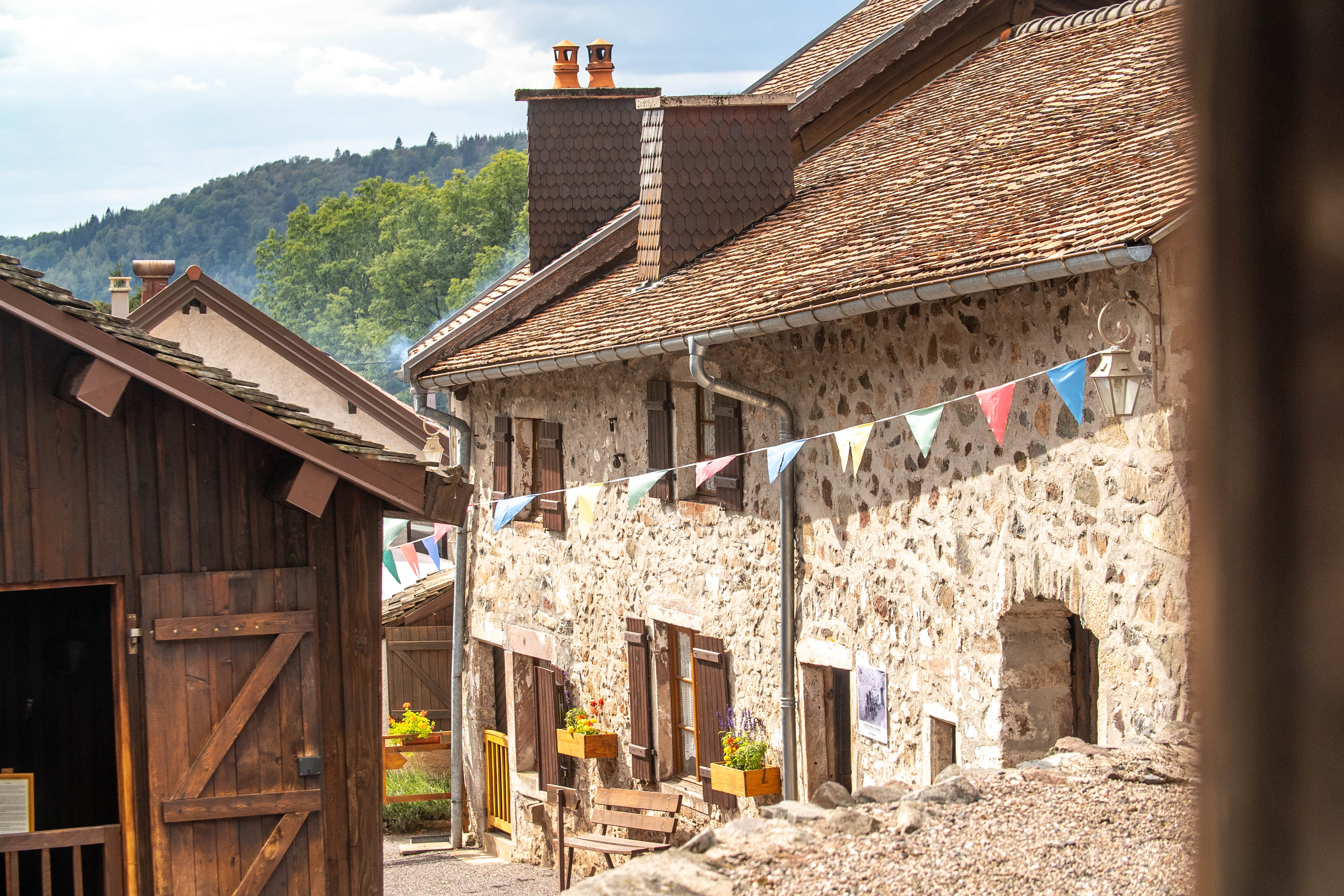 Musée Départemental Demard de la Montagne