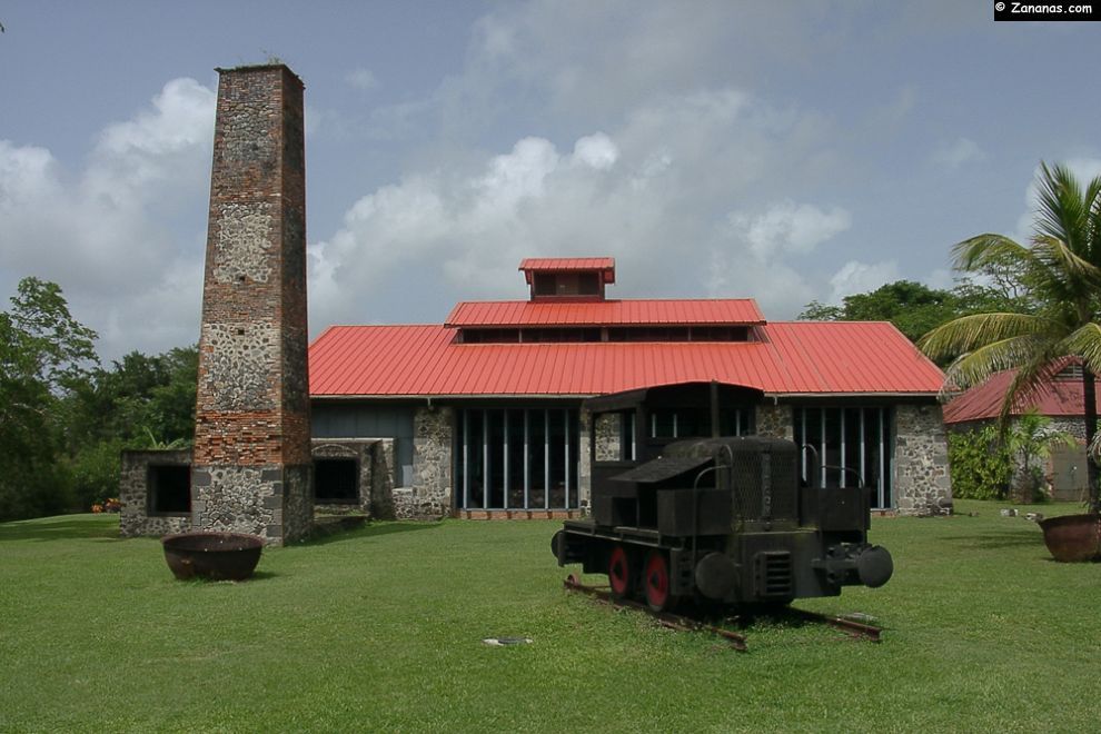 Maison de la canne